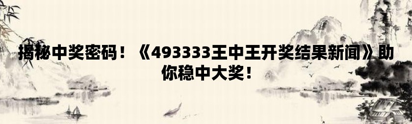 王中王493333WWW,王中王493333WWW，探索与启示