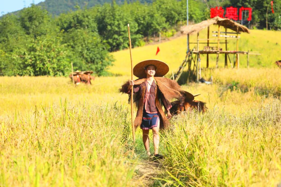 新奥门免费资料大全在线查看,新奥门免费资料大全在线查看，探索未知，发现价值