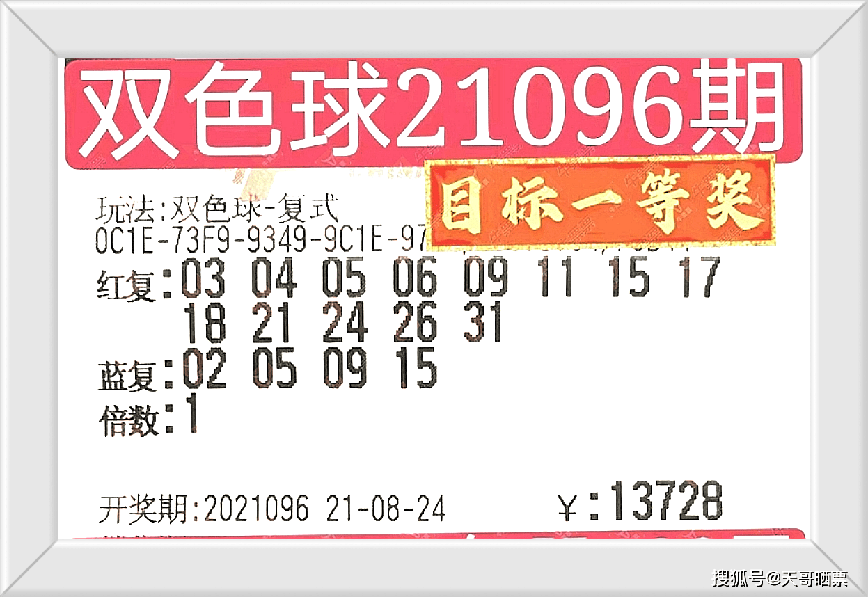 2024新奥今晚开奖号码,揭秘新奥彩票，今晚开奖号码预测与背后的故事