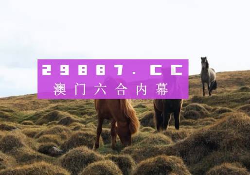 奥门开奖结果+开奖记录2024年资料网站,奥门开奖结果及开奖记录，探索2024年资料网站