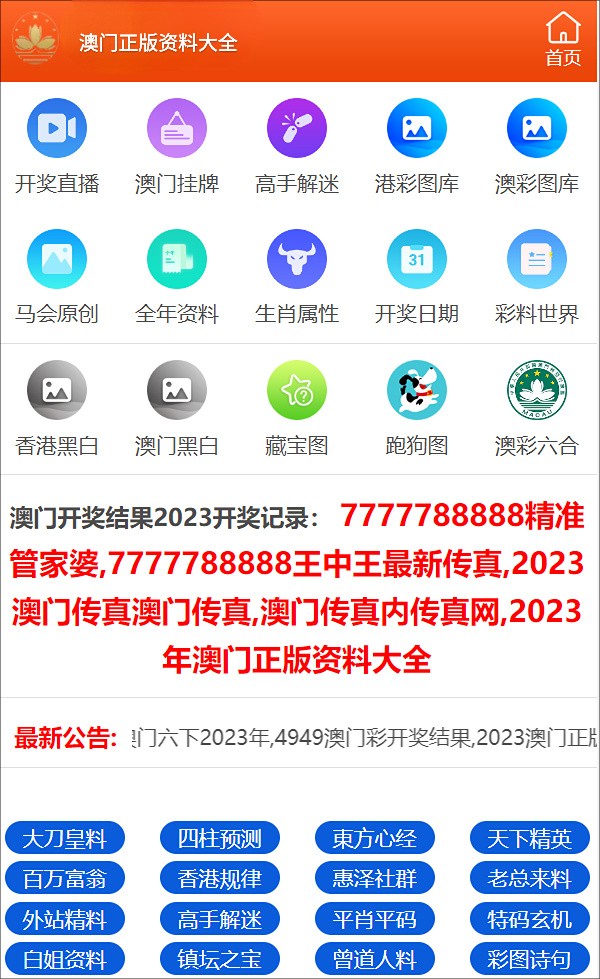 澳门一码一码100准,澳门一码一码精准预测的魅力与挑战