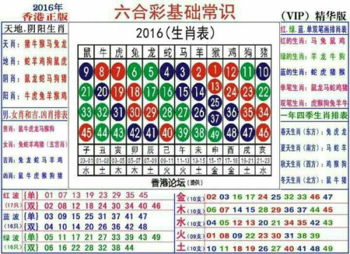 2025十二生肖49个码,揭秘十二生肖与数字密码，探寻2025年49个生肖码的独特奥秘